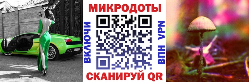Галлюциногенные грибы Psilocybe  мега как зайти  Назрань  где найти наркотики 